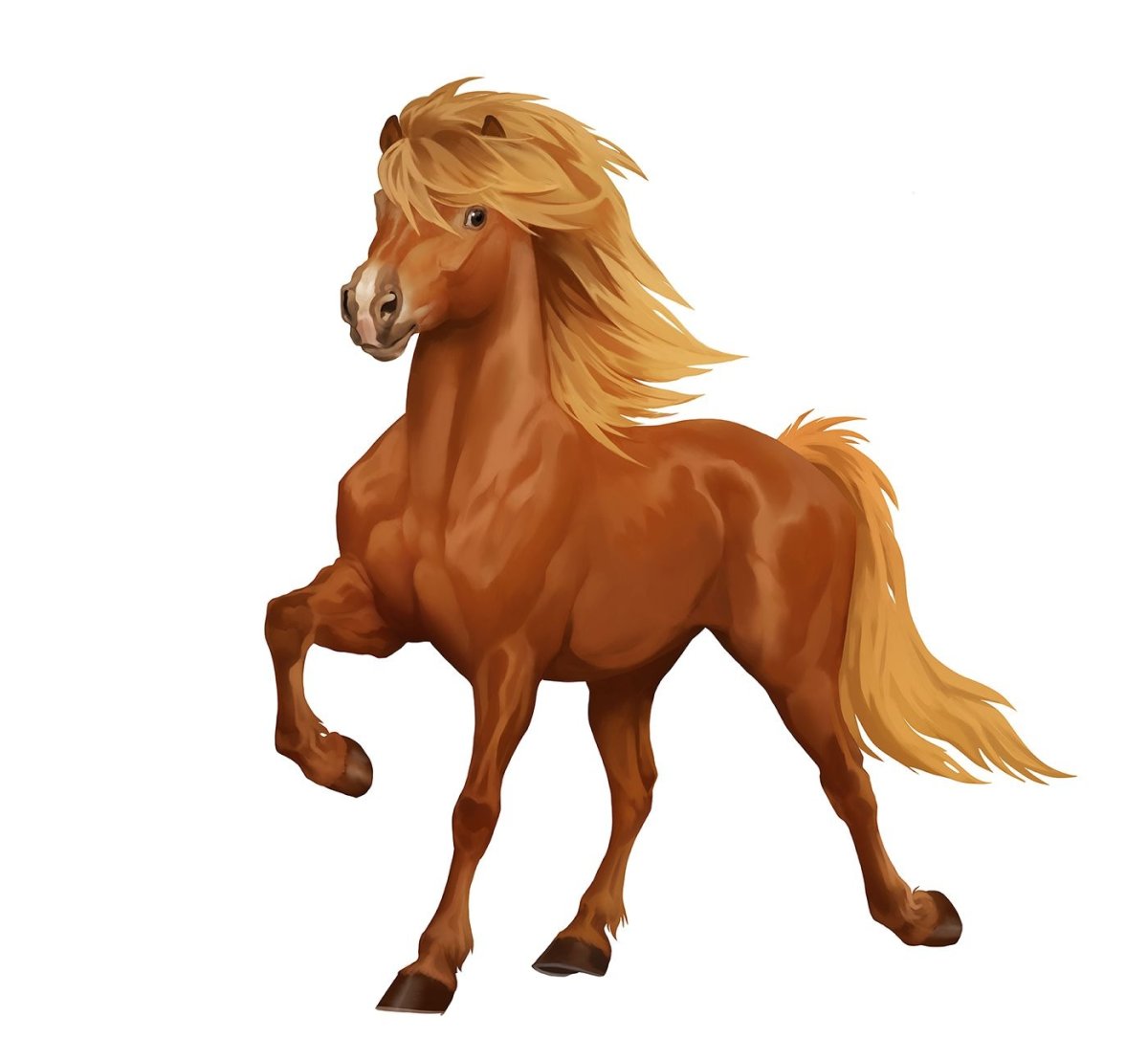 Рыжая лошадь на белом фоне