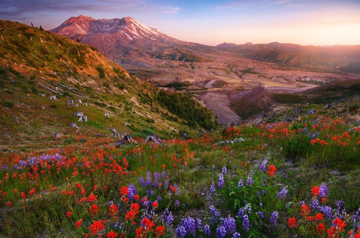 Долина цветов в Гималаях