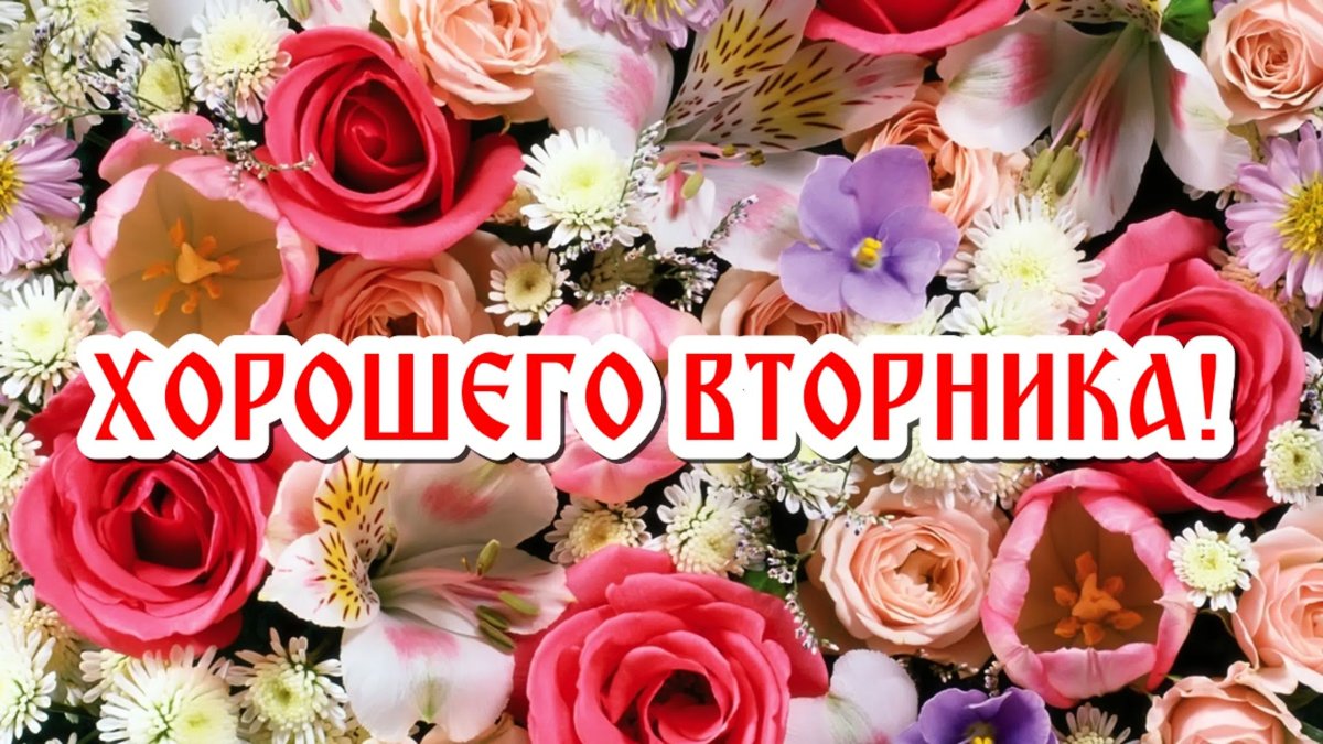 Поздравления со вторником
