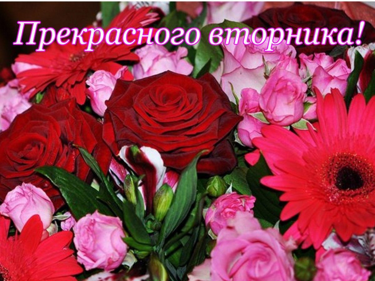 Пожелания на вторник