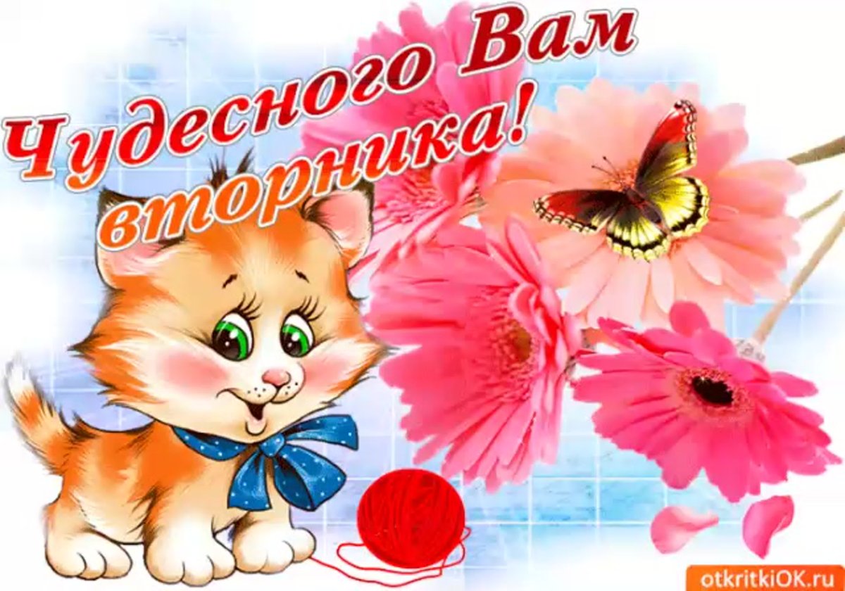 Поздравления со вторником