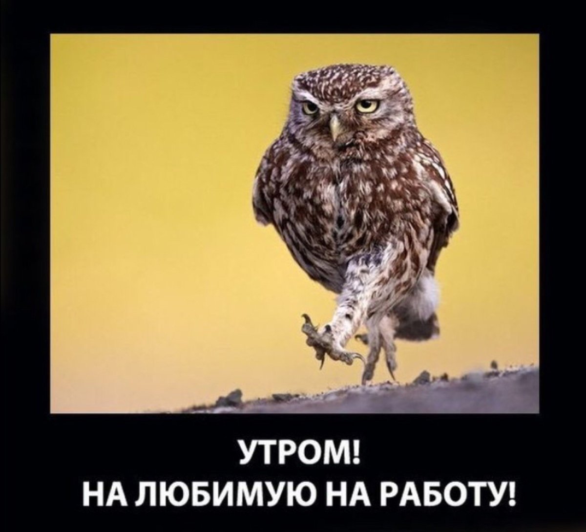 Ура понедельник