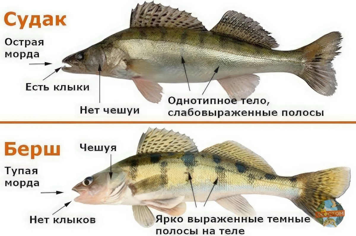 Надпись отдыхаем в Крыму