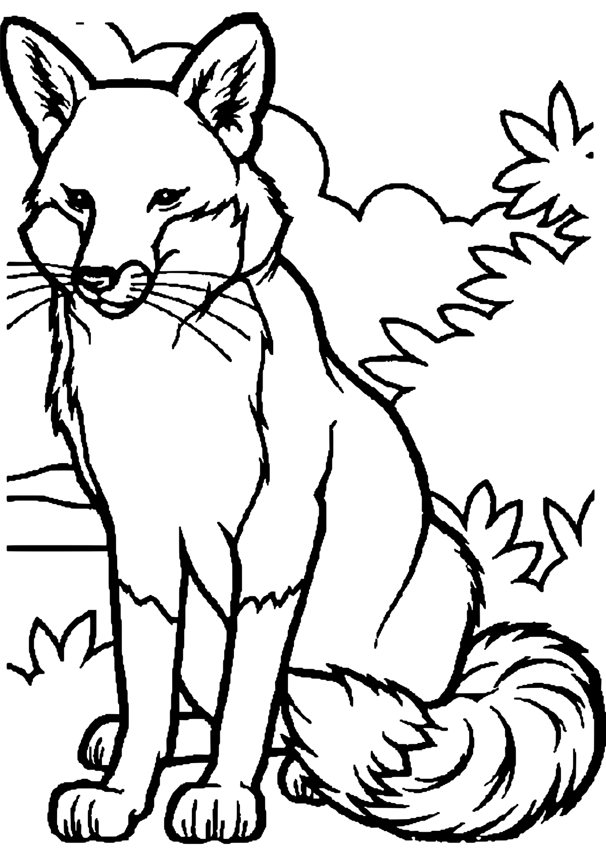 Лев раскраска для детей