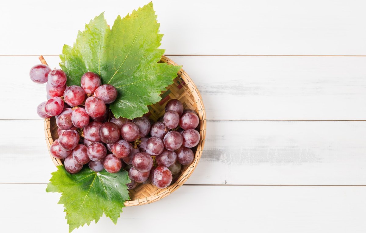 Рука с виноградом вектор