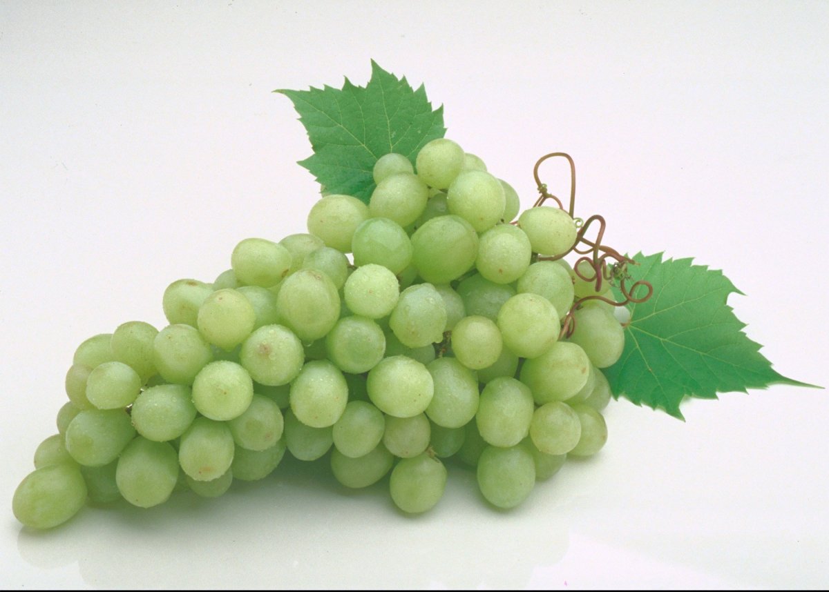 Виноград значок