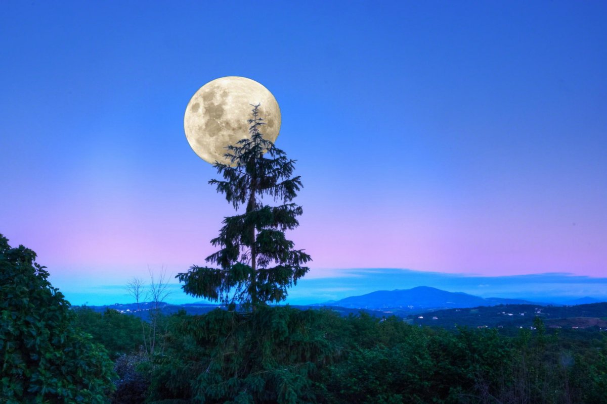 Огромная Луна