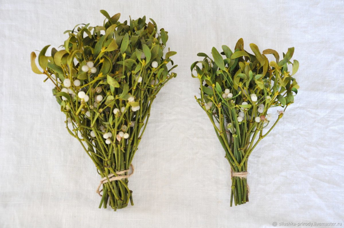 Букет омелы