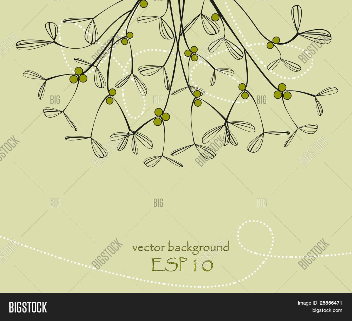 Омела белая акварель ветка