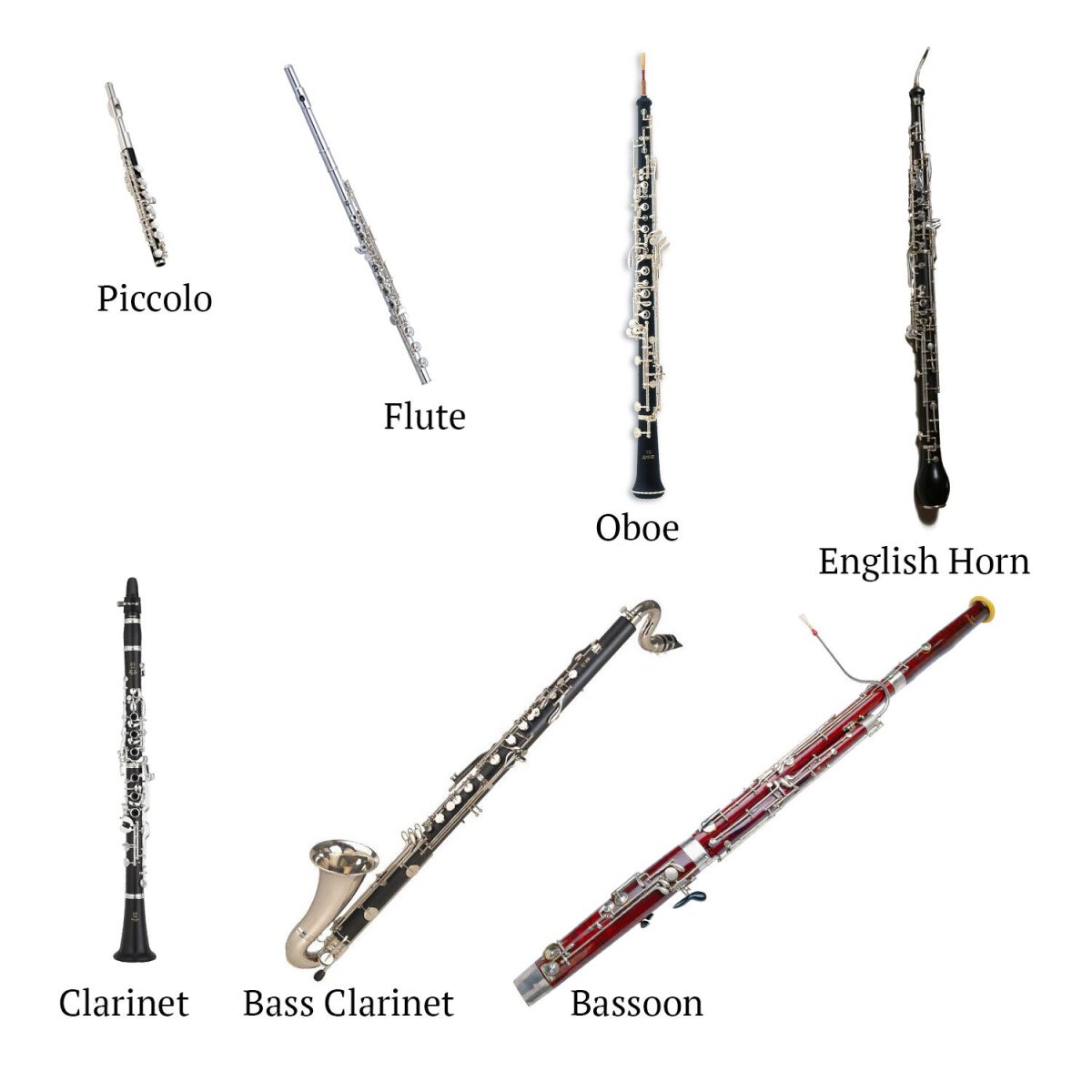 Woodwind instruments