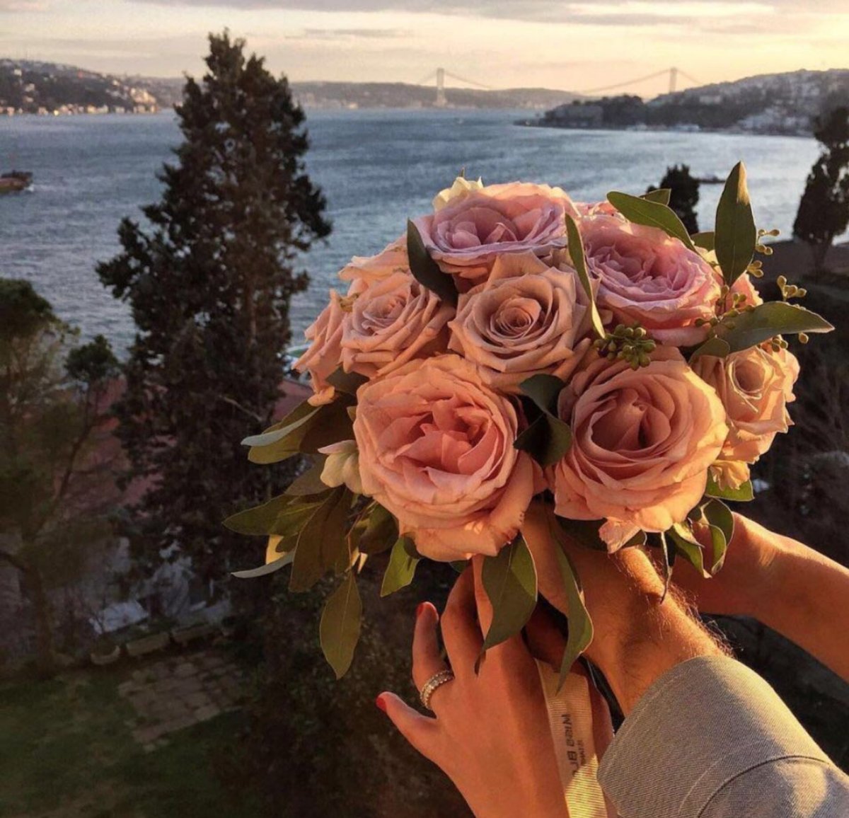 Цветы для инсты