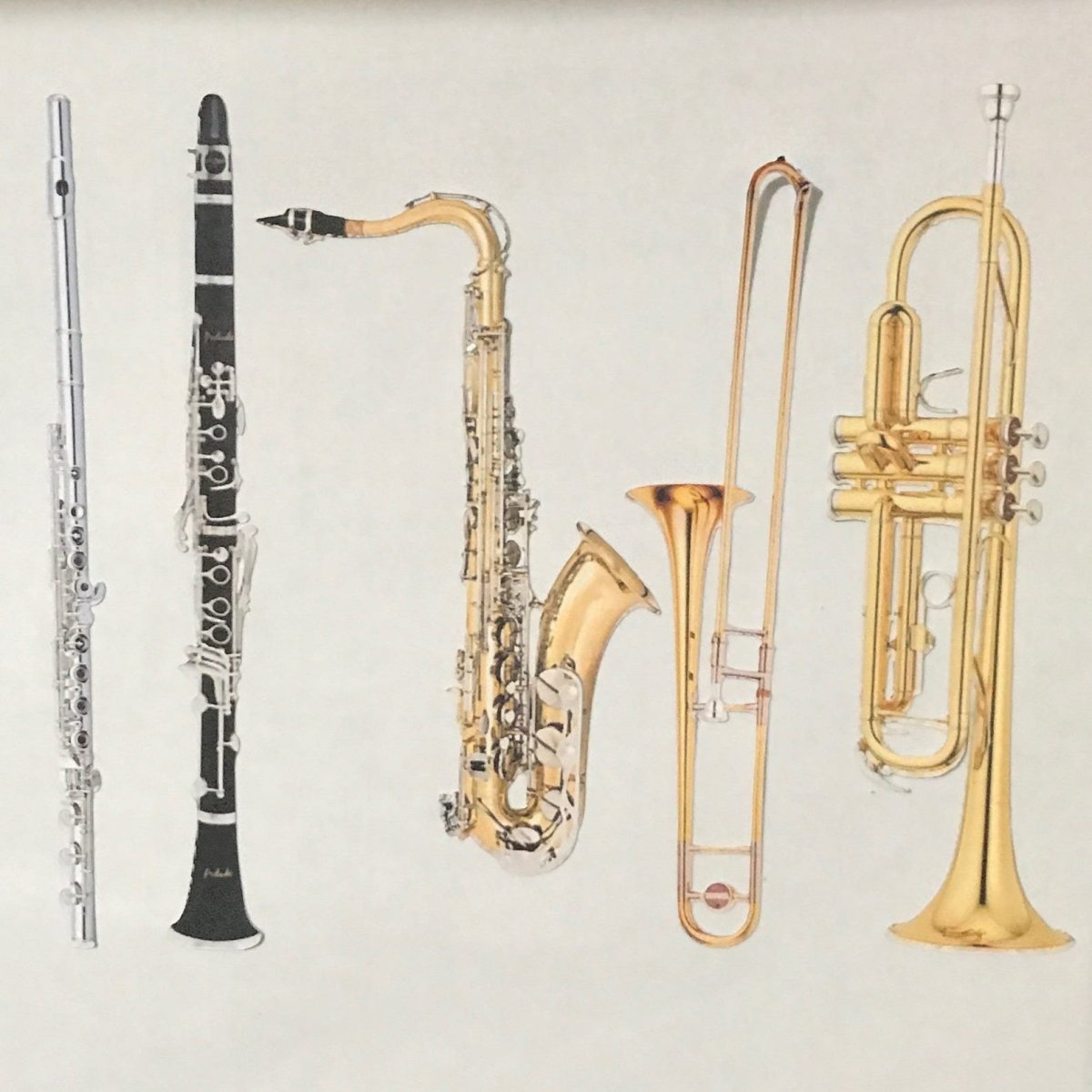 Духовые инструменты брасс