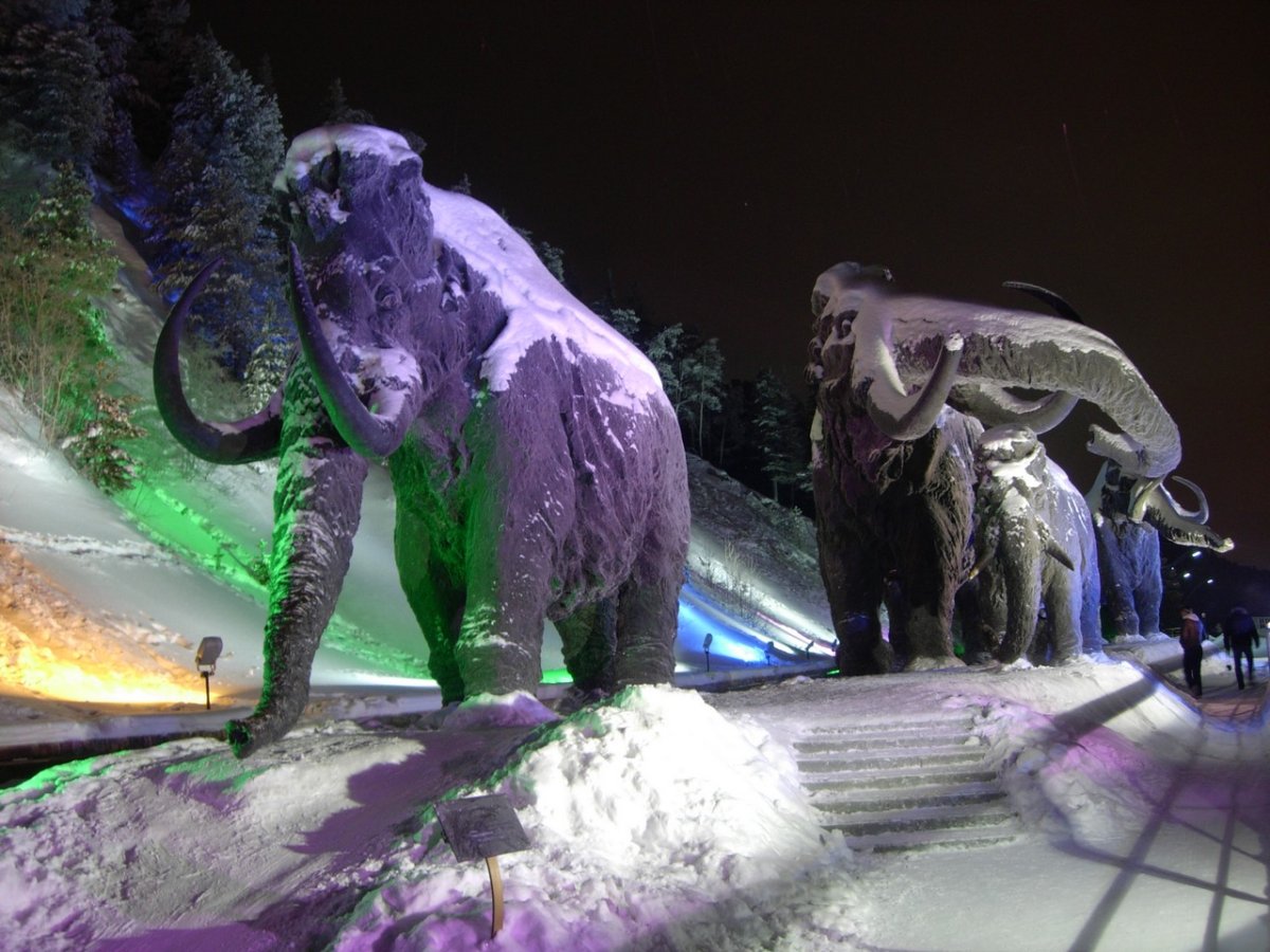 Археопарк в Ханты Мансийске зимой