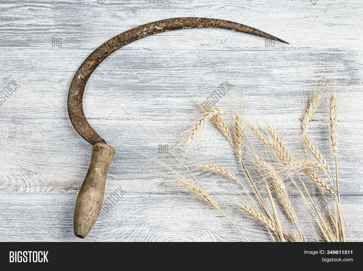 Пучок соломы