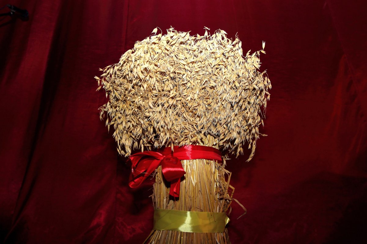 Стог поле сенокос