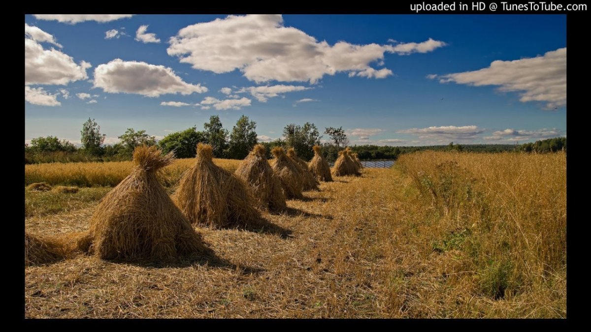 Овсяной Снопок