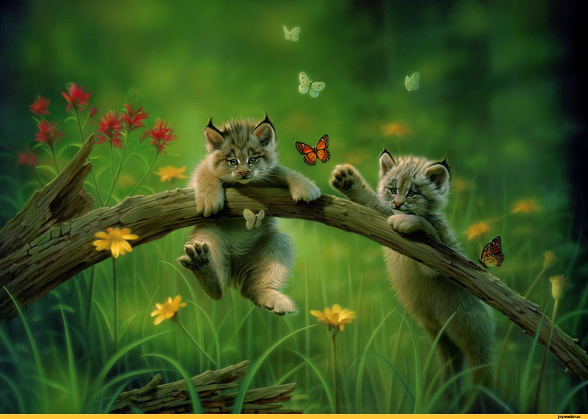 Kirk Reinert картины