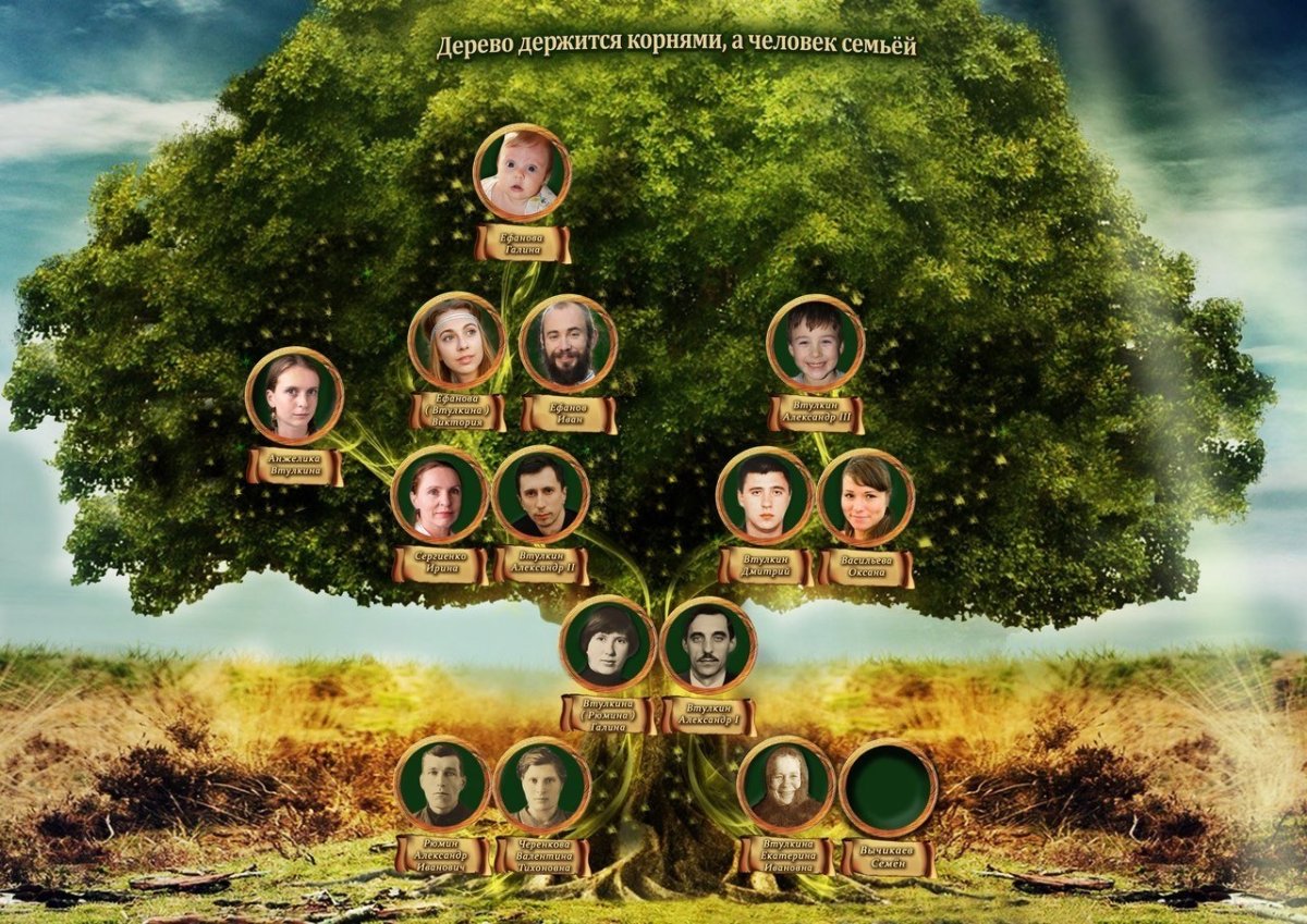 Династия Ямато Древо