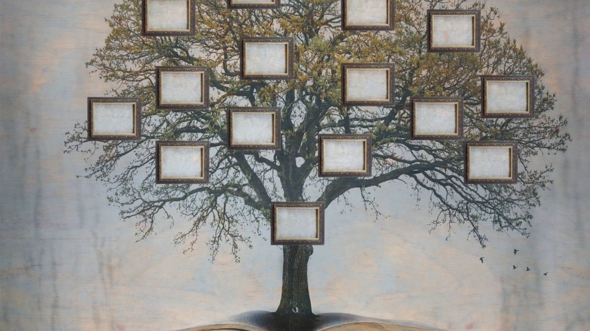 Генеалогическое дерево рода Шершакова