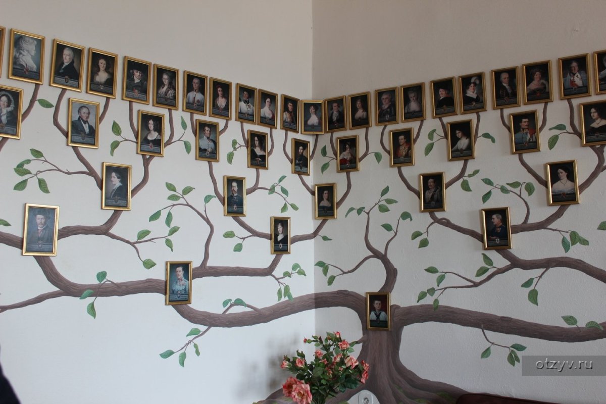 Родословная генеалогическое Древо Шежере