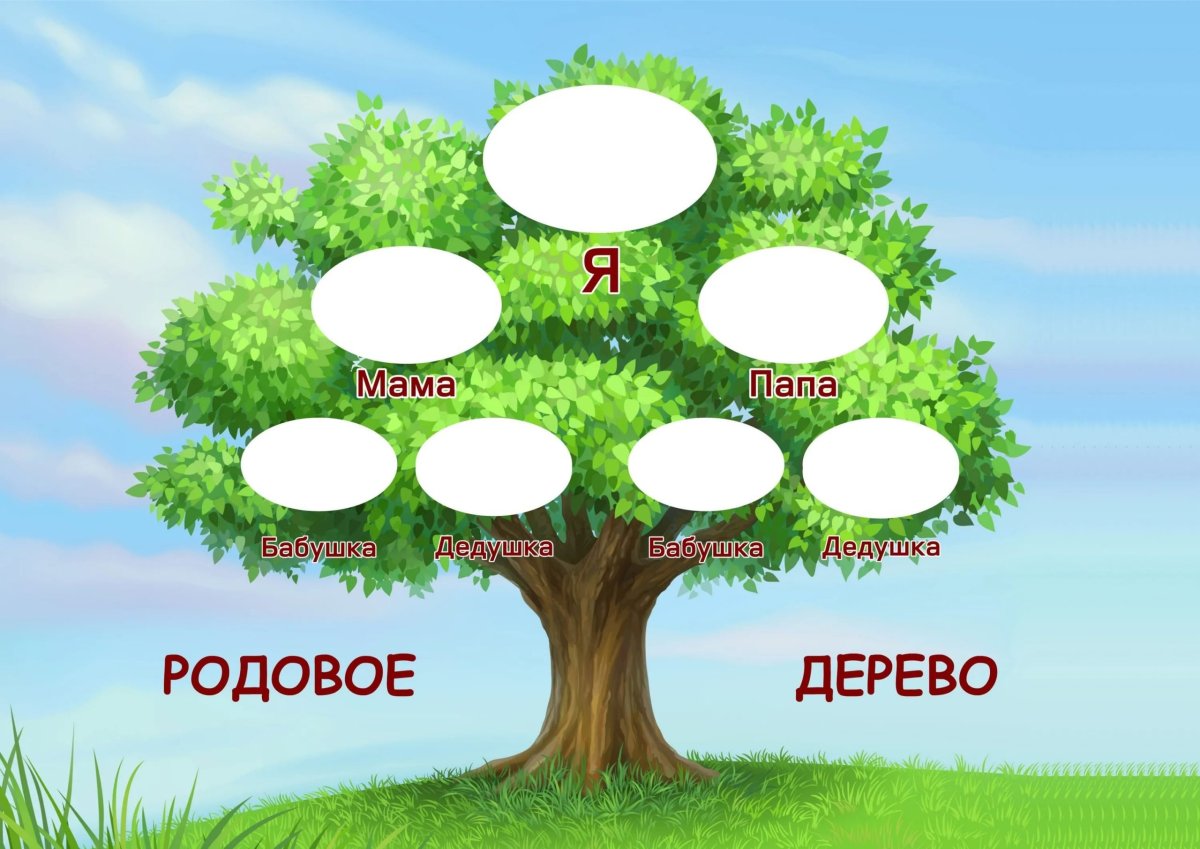 Родословное дерево Шежере