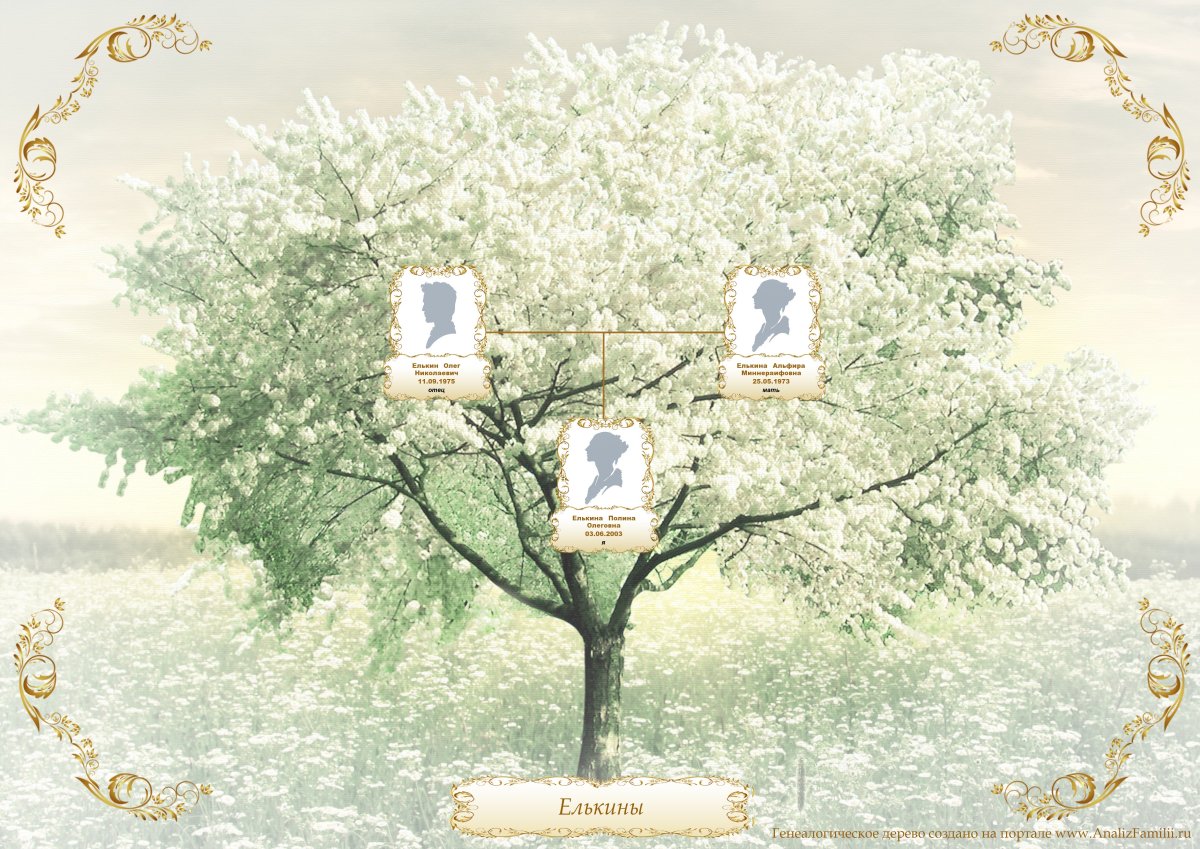 Родословное дерево