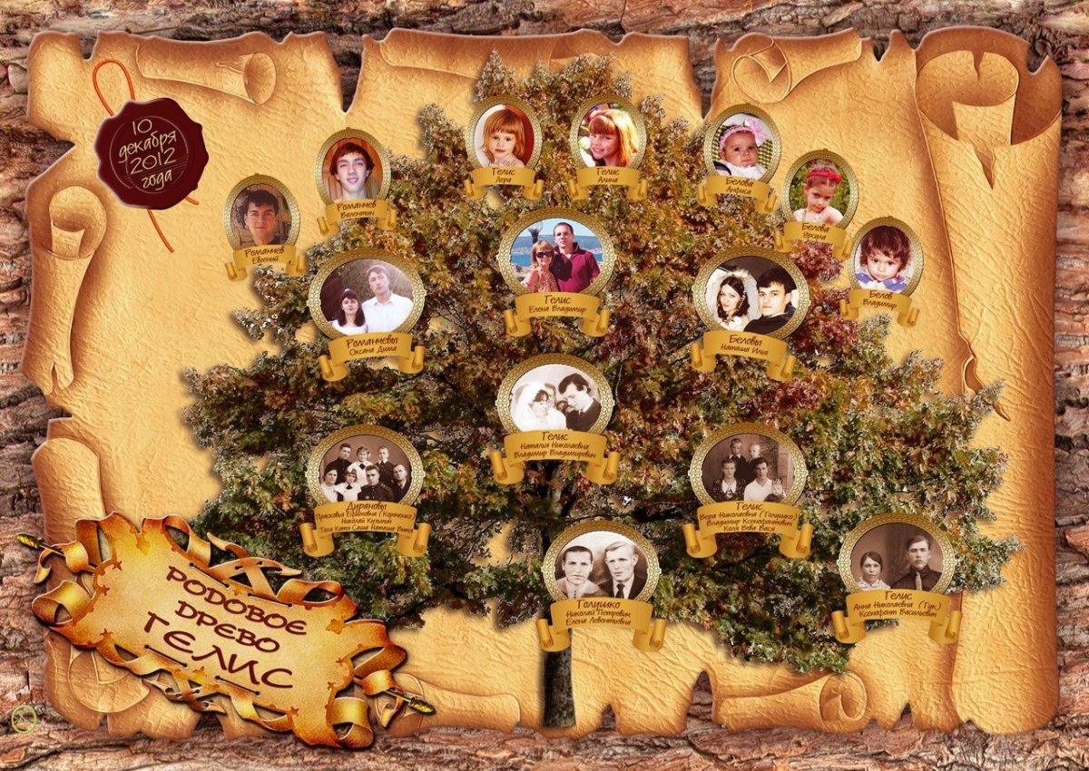 Родословное дерево Шежере