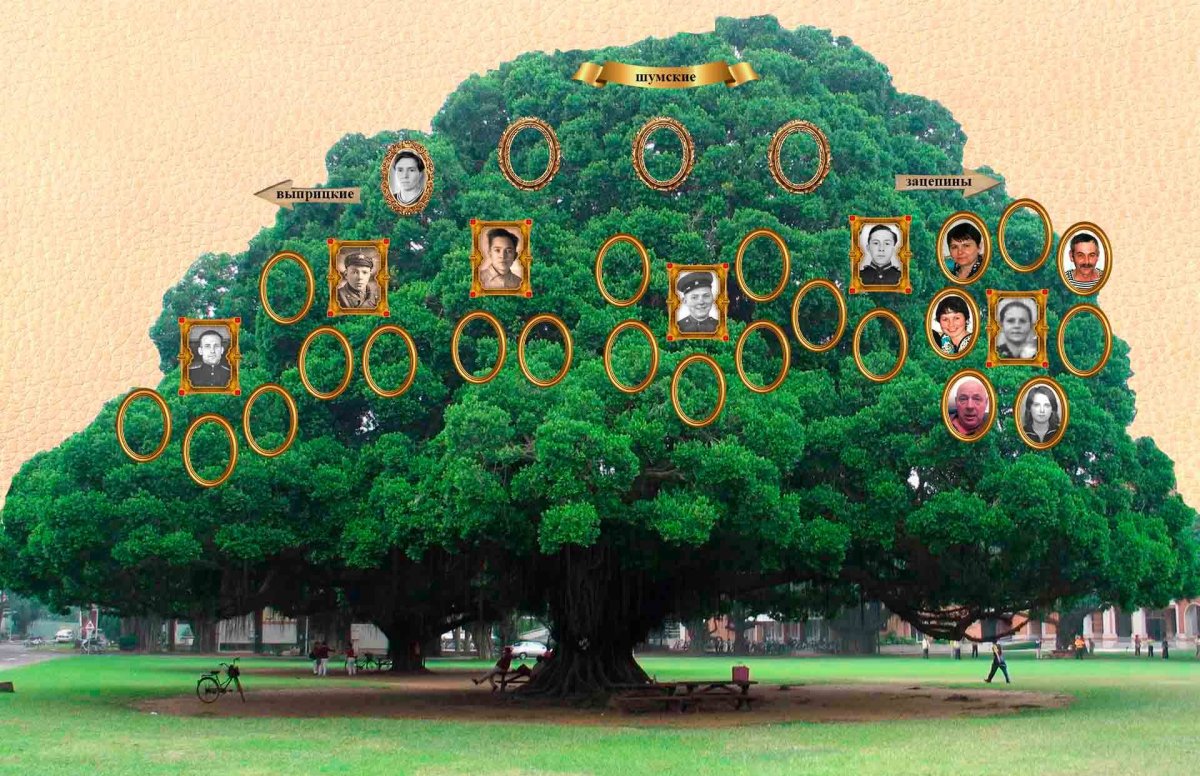 Семья Энканто родословная