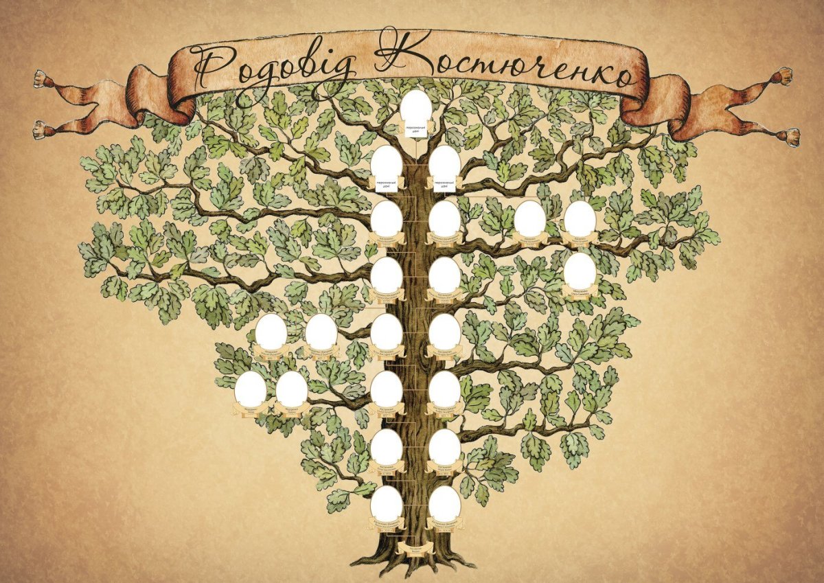 Родословное дерево Шежере