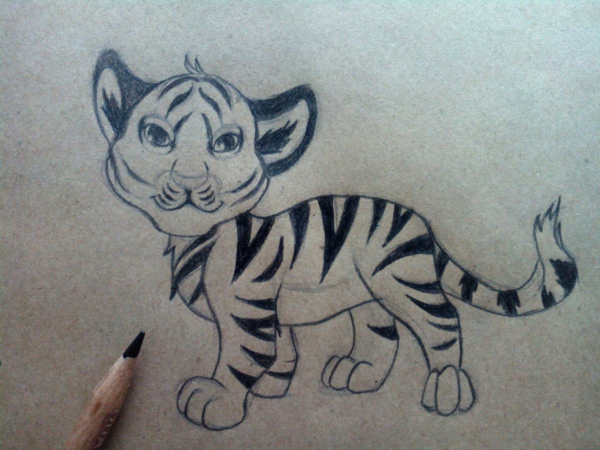 Рисунки тигров для срисовки