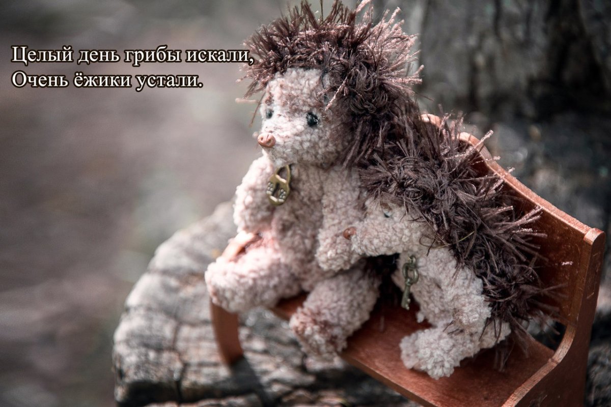 Я пришла с работы Ежик