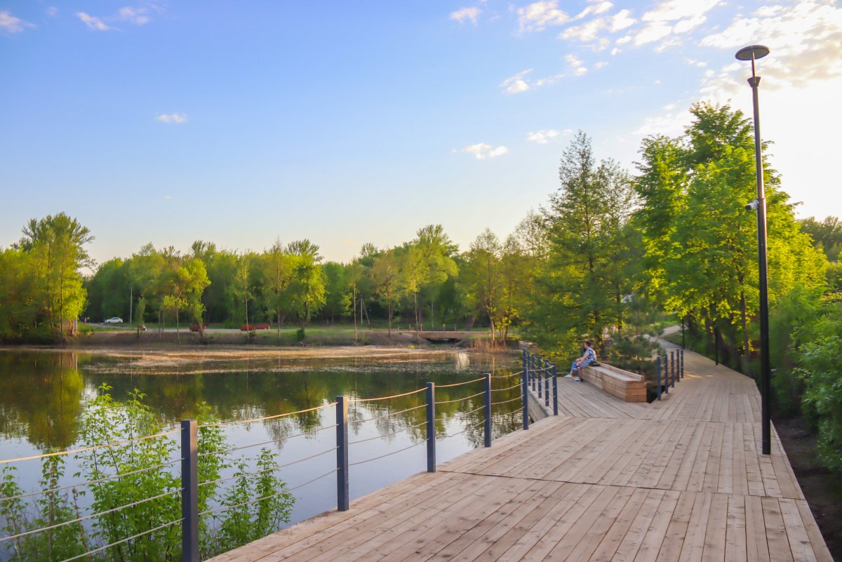 Платина Мичуринск