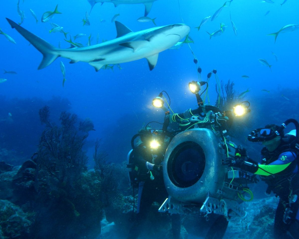 Исследование океана