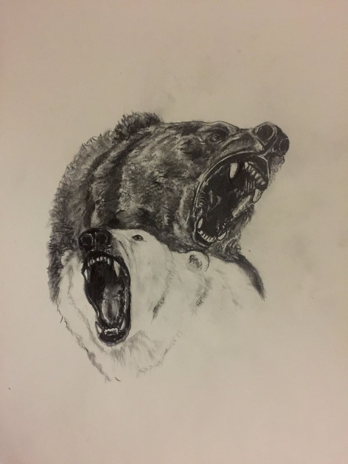 Медведь рычит