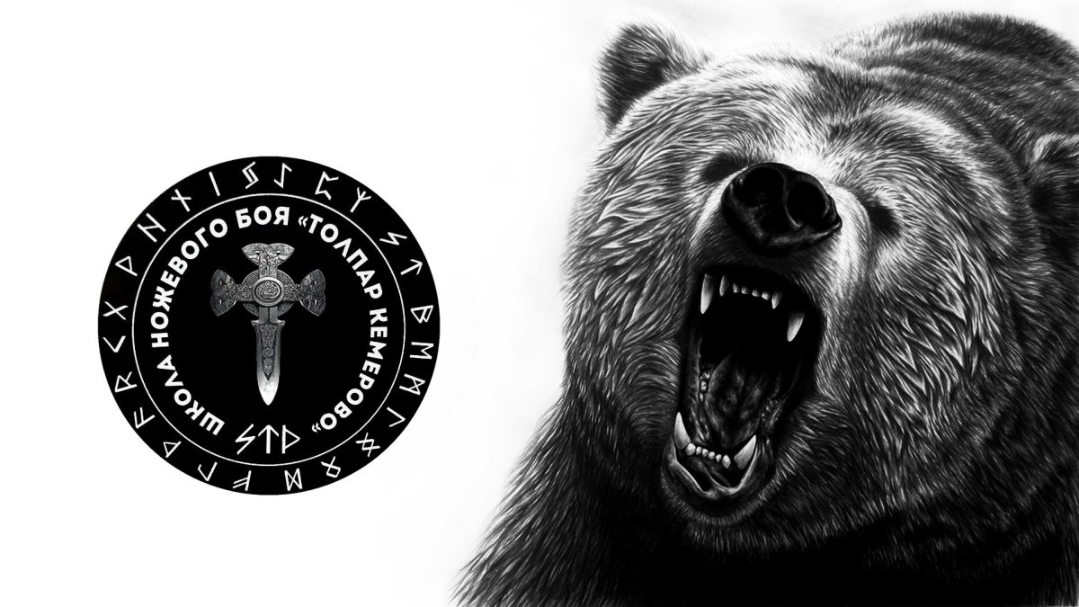 Медведь рисунок