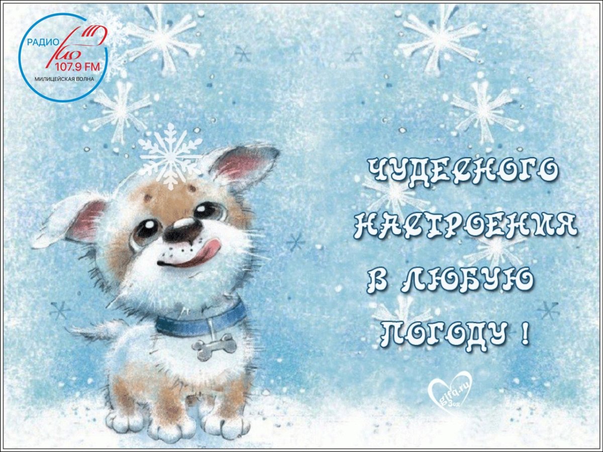 С добрым предновогодним утром