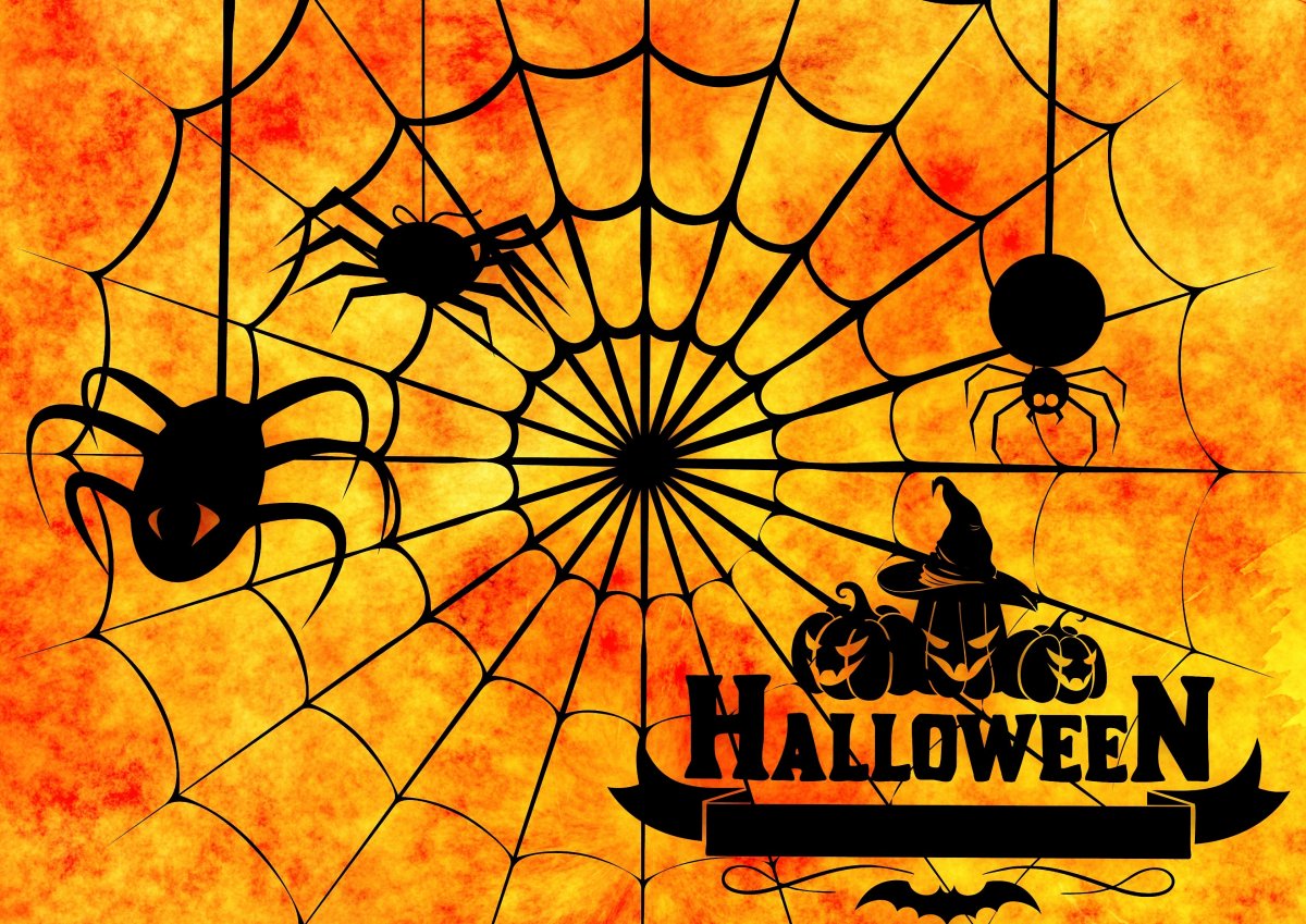 Пауки на Хэллоуин