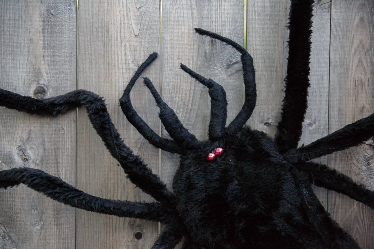 Страшная паутина