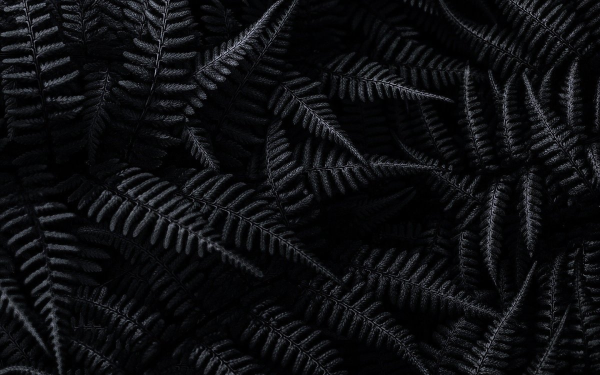 Черный фон на рабочий стол