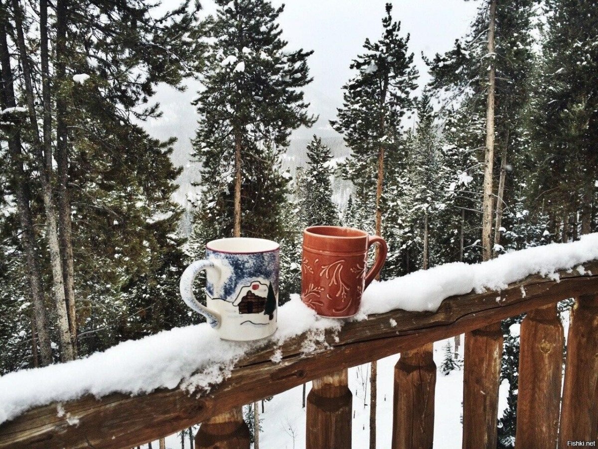 Доброе февральское УИРО