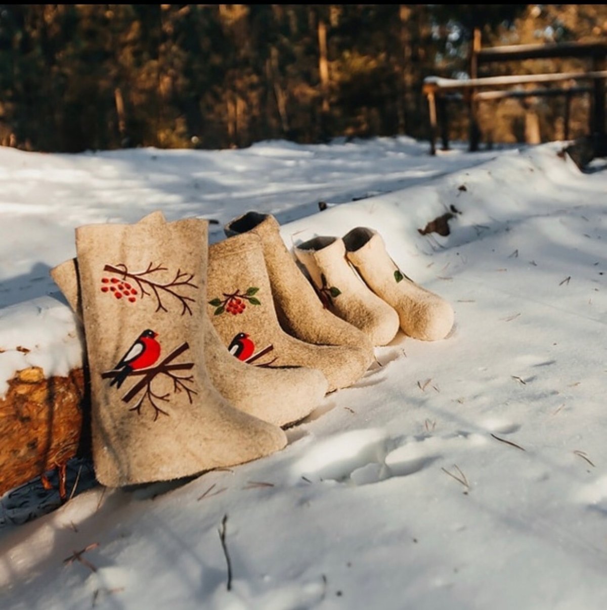 Девушка в валенках