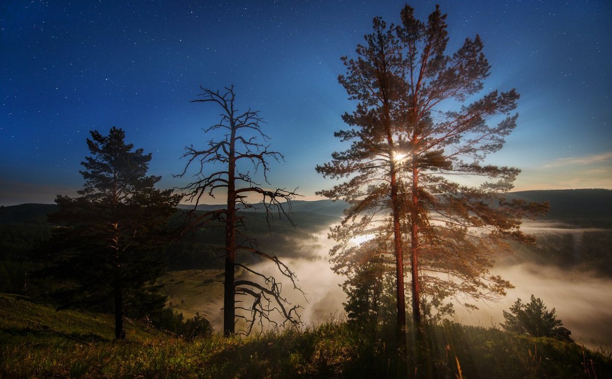 Природа Забайкальского края