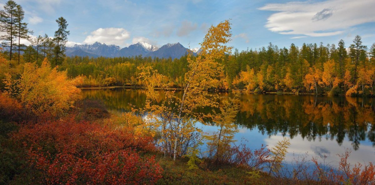 Природа Забайкальского края Витим