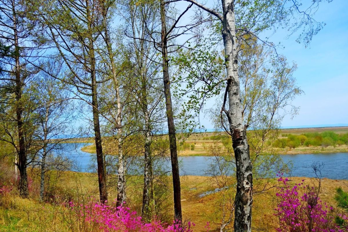 Забайкальский край лето