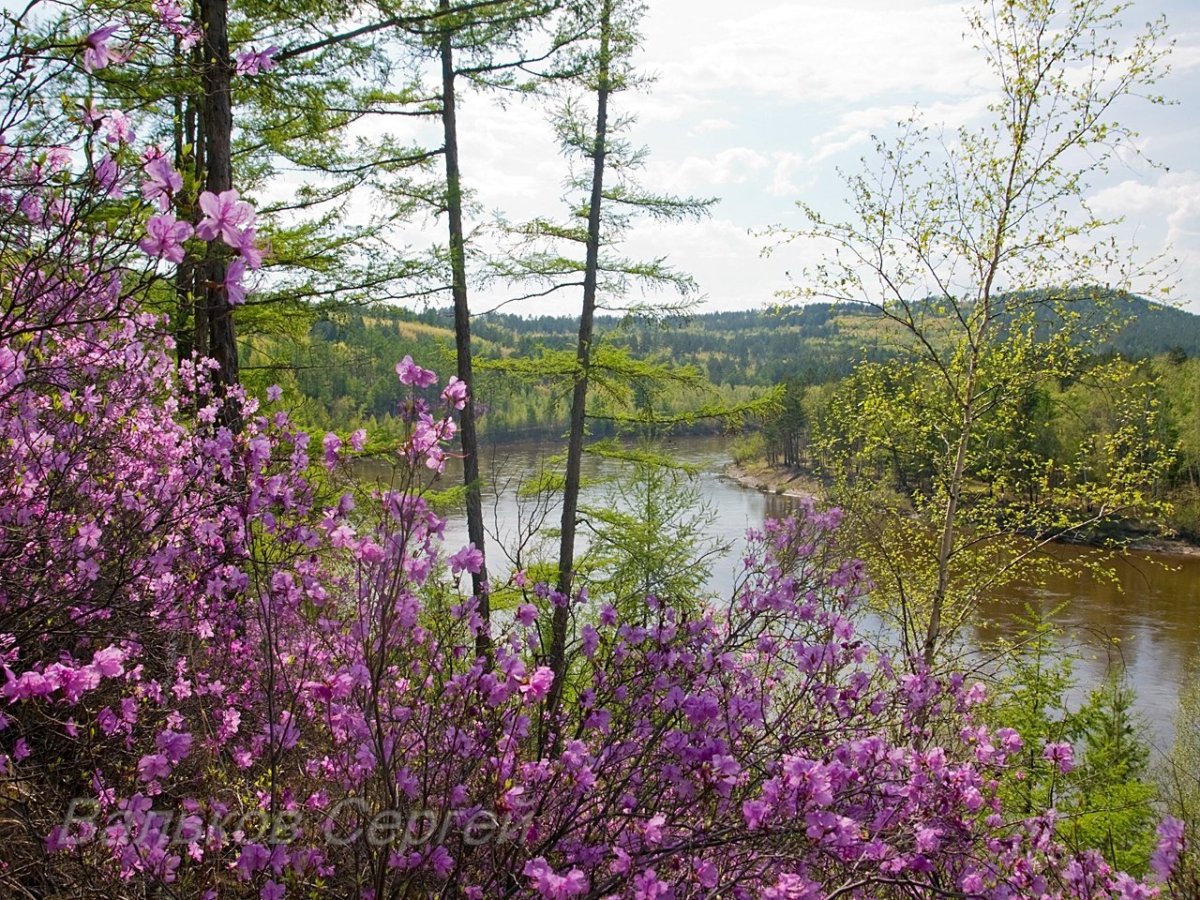 Национальный парк Чикой
