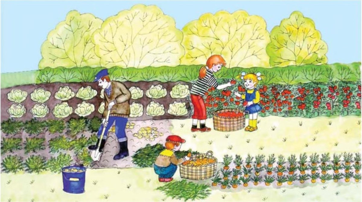 Огород рисунок для детей