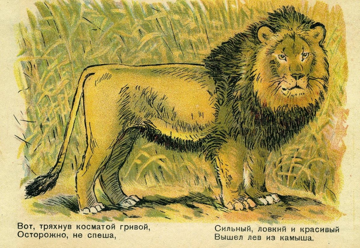 Картины художников животные жарких стран