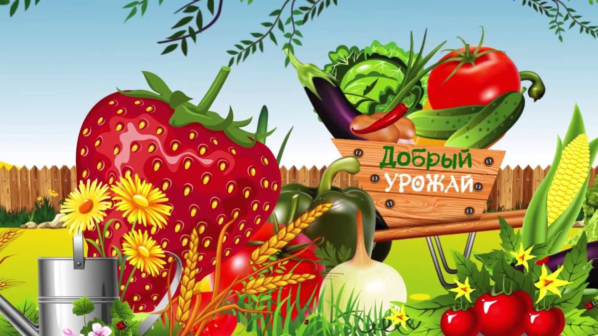 Огород мультяшный