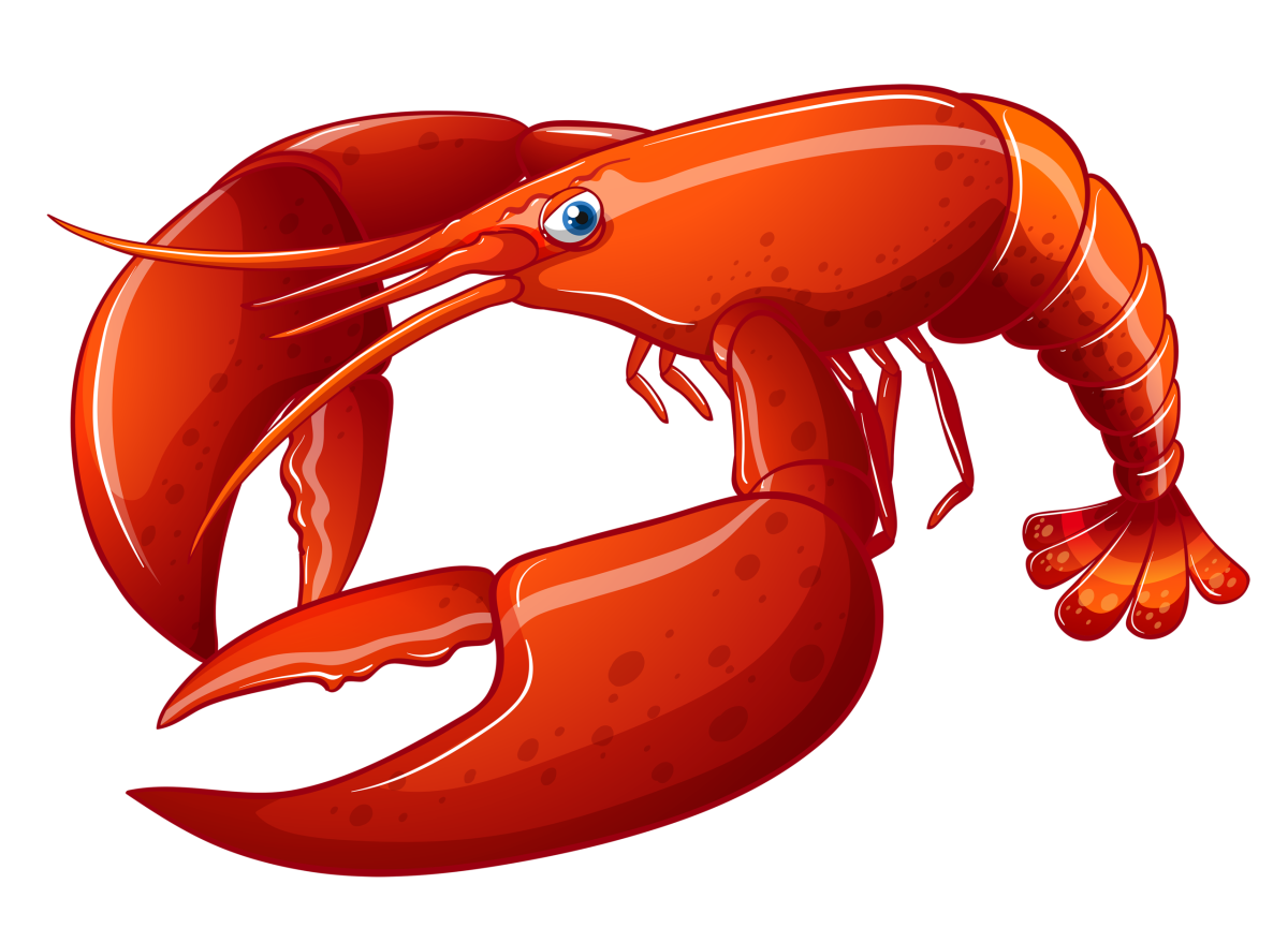 Омар вектор