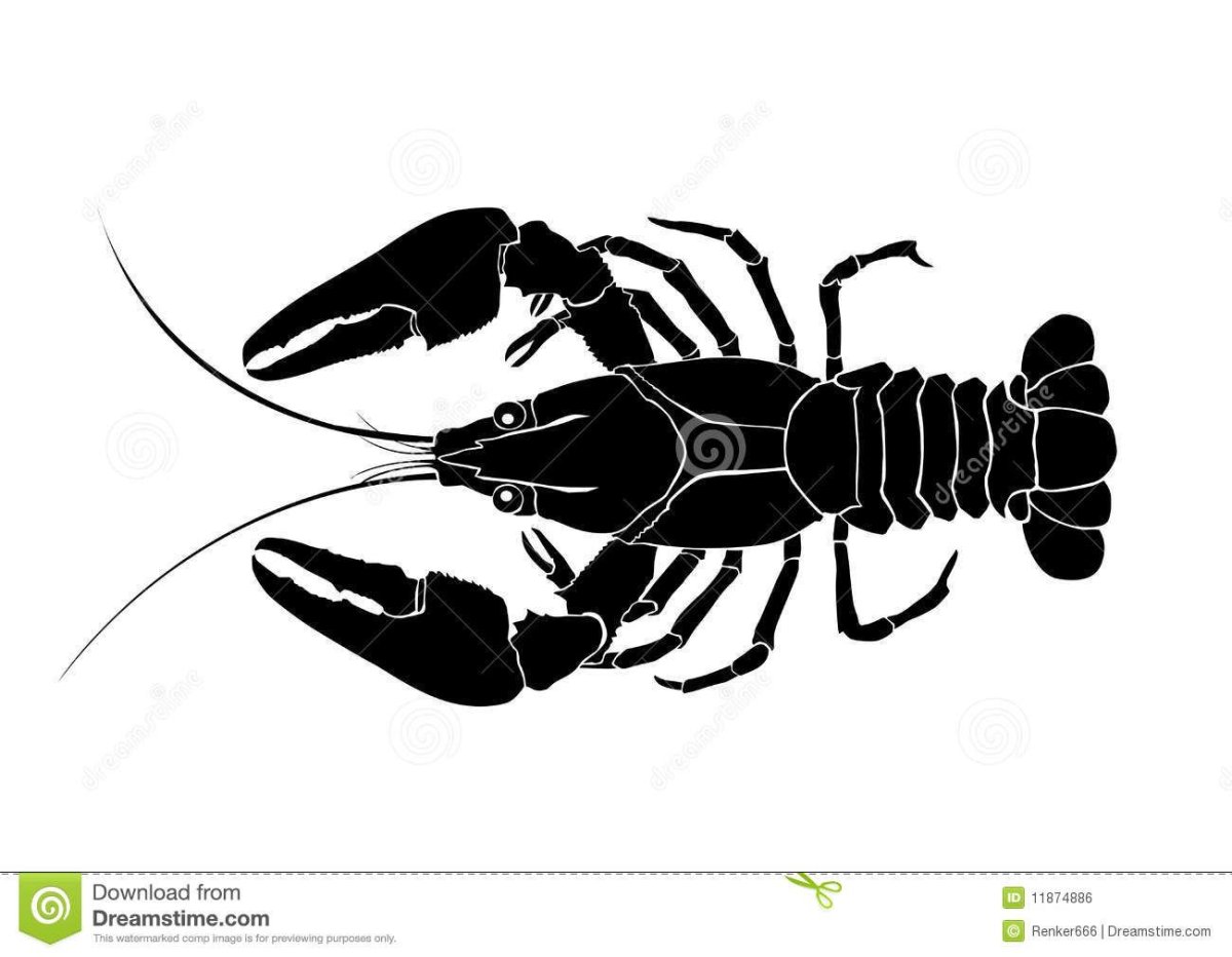 Ака на фоне черно белой